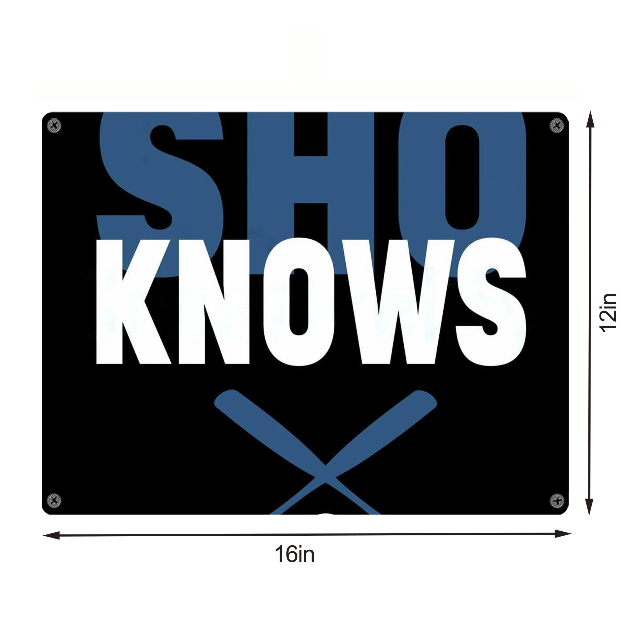  Vintage Metal Tin Sign 16x12 – Full-Print Iron Wall Decor – Durable, Fade-Resistant – Easy To Hang – Ideal For Home, Bar, Kitchen & Office Decor