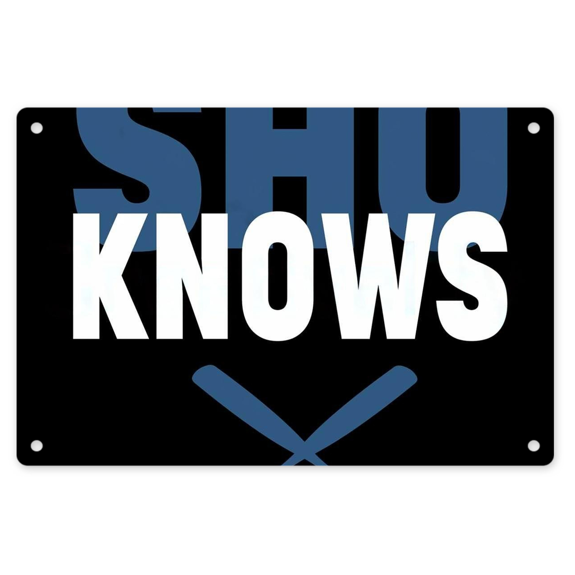  Decorative Aluminum Plaque – Horizontal Design – Durable, Stylish, Easy To Install – Ideal For Home, Office, Bar, And More